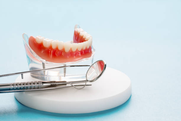Professional  Holistic Dental Services in Maplewood, WA